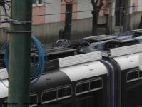 Imagine atasata: Tramvaie - 2016.12.21 - 06.jpg